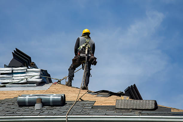 Professional Gutter Installation technician working in Denton, TX